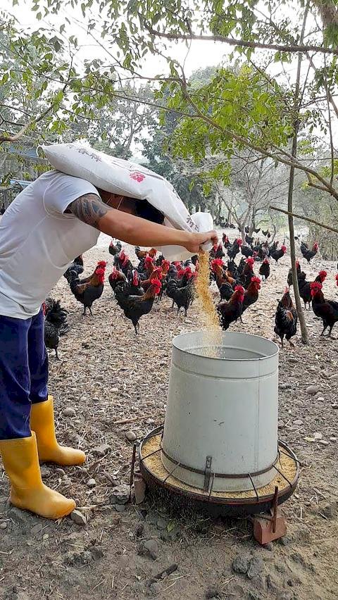 Taiwán curioso