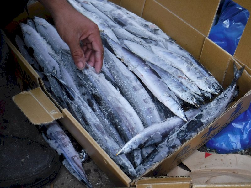 El Gobierno quiere sacar al pescado taiwanés de la lista de mercancías producidas con trabajo esclavo