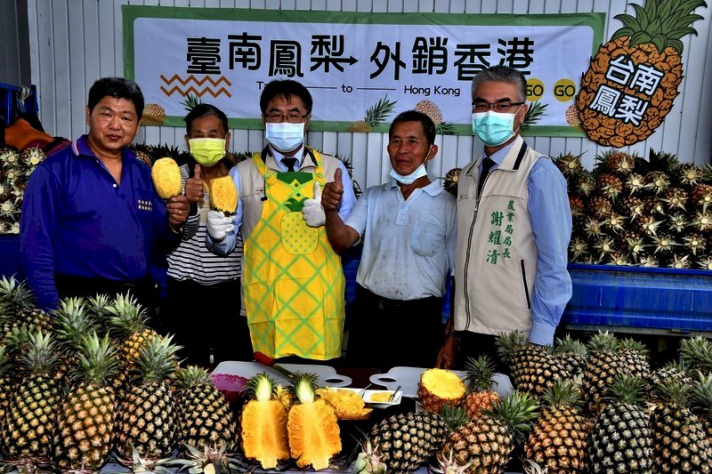 Comienza la temporada de piña en Tainán. El alcalde de esta ciudad, Huang Wei-che, se presentó en el centro de concentración y envío del primer lote de piñas de Tainán rumbo a Hong Kong. El alcalde, además, solicitó a la Comisión de Agricultura detectar ciertas prácticas de empresarios del sector, y así evitar afectar la buena reputación de la fruta taiwanesa. (Foto: CNA)