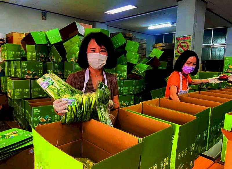 La Oficina de Agricultura del Condado de Chiayi ha lanzado en su cuenta oficial de Facebook un servicio extraordinario de venta de vegetales, carnes, pescados y mariscos. Esta iniciativa ha recibido una excelente acogida por parte de la ciudadanía que, de esta manera, no necesita salir de sus casas para comprar estos productos y adquirir frutas y verduras frescas. El 28 de mayo, en el que se cumplió una semana de lanzado este programa, ya se habían vendido más de 3000 cajas, lo que tiene a los prósperos empresarios muy ocupados despachando sus productos. (Foto: CNA)