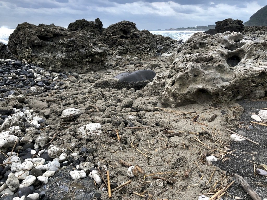 Aparecen en aguas de Hualien restos de lava del volcán japonés de las islas Ogasawara
