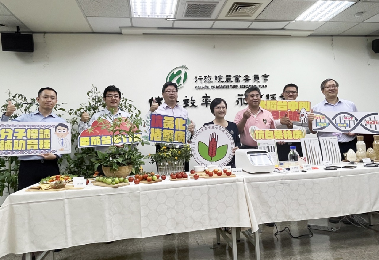 Taichung desarrolla una variedad de tomate resistente a las plagas