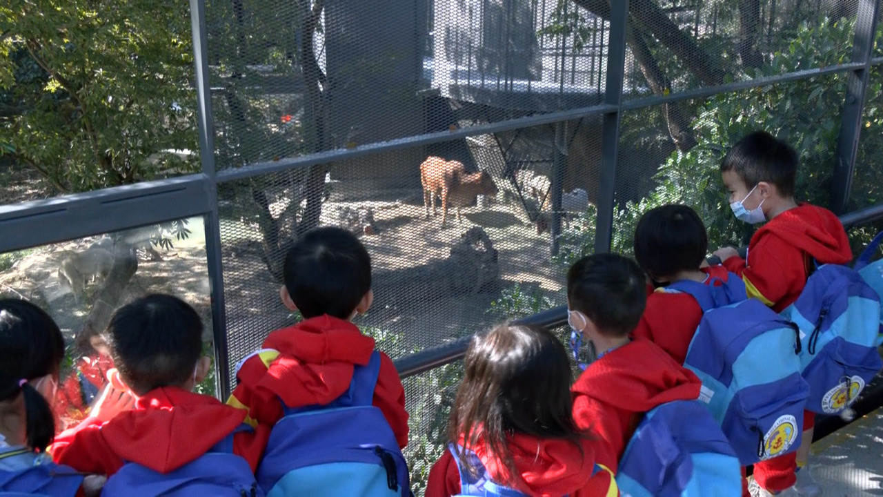 El zoo de Kaohsiung reabre al público tras completar el proceso de renovación