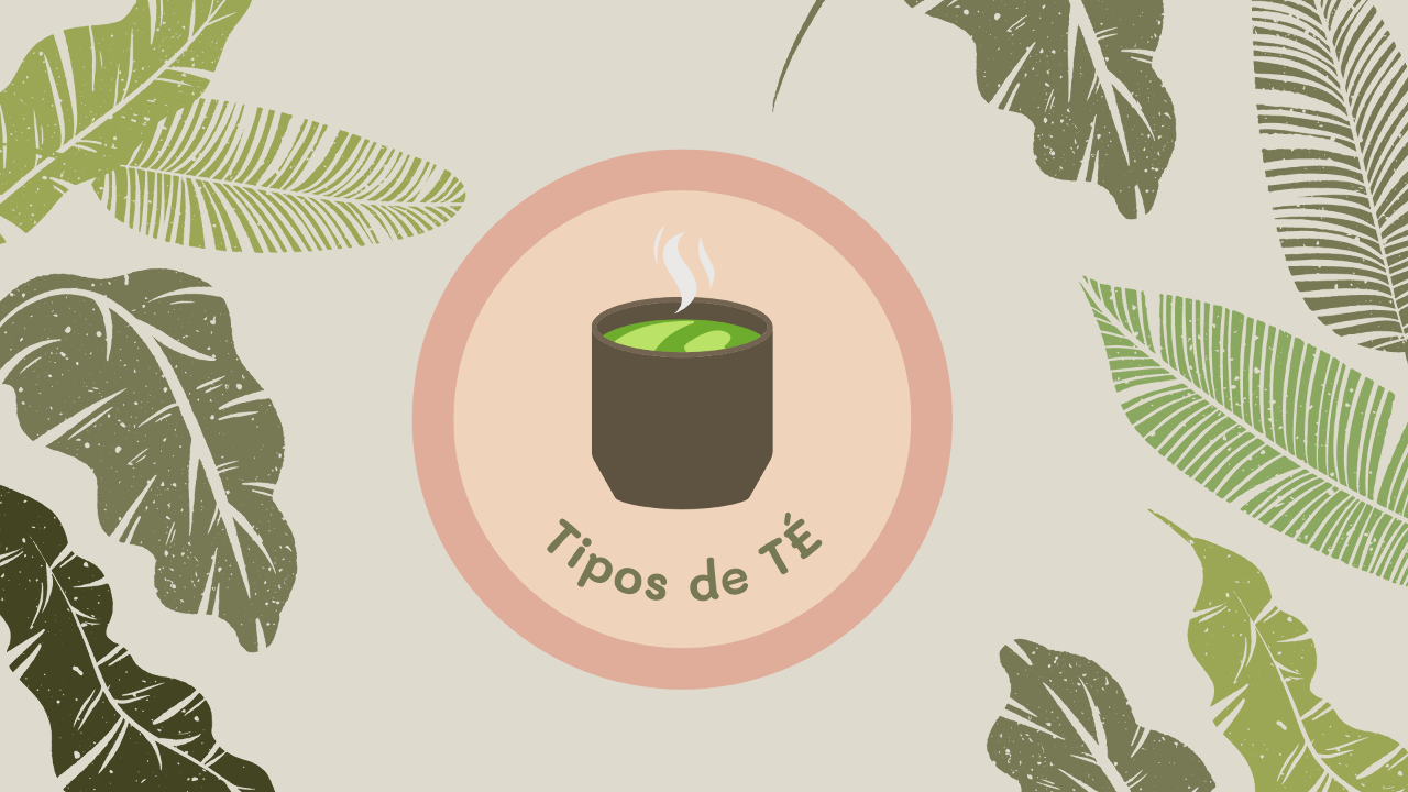 Tipos de Té