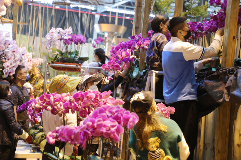 Lai Ching-te inaugura la Exposición Internacional de Orquídeas de Taiwán