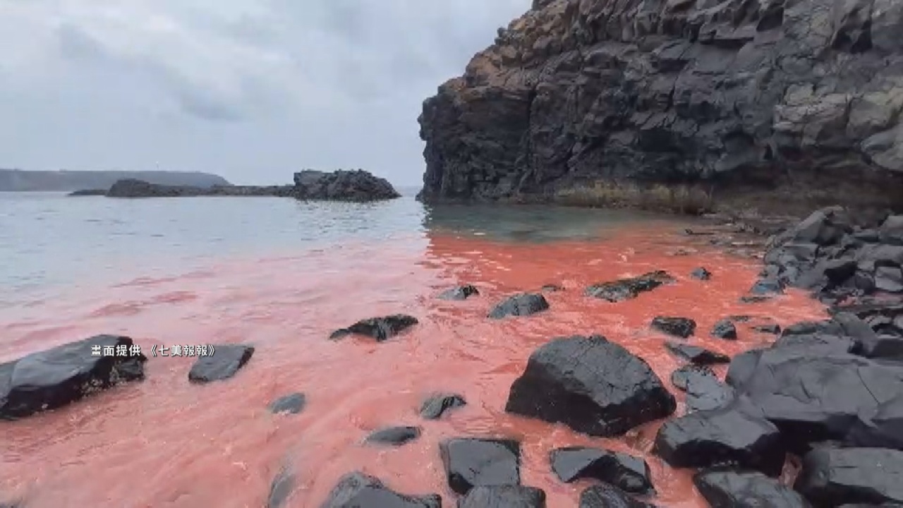 Olas rosadas en Penghu gracias a la temporada de desove de corales