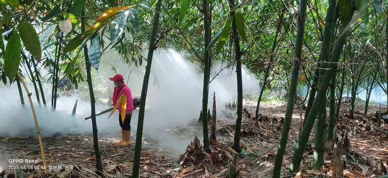 El dengue avanza en toda Taiwán
