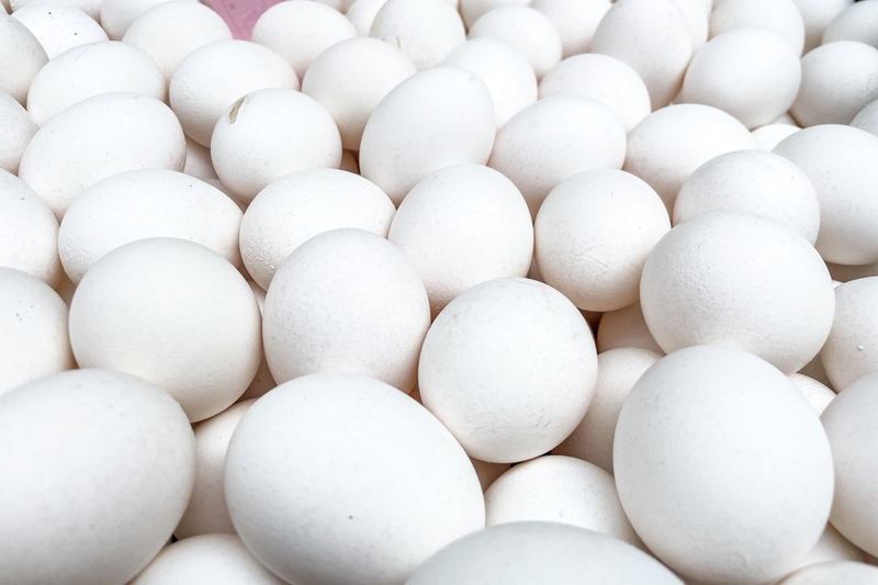 Agricultura: “El precio de los huevos ha caído debido al resurgimiento de la gripe aviar en el extranjero y la caída de la demanda interna”