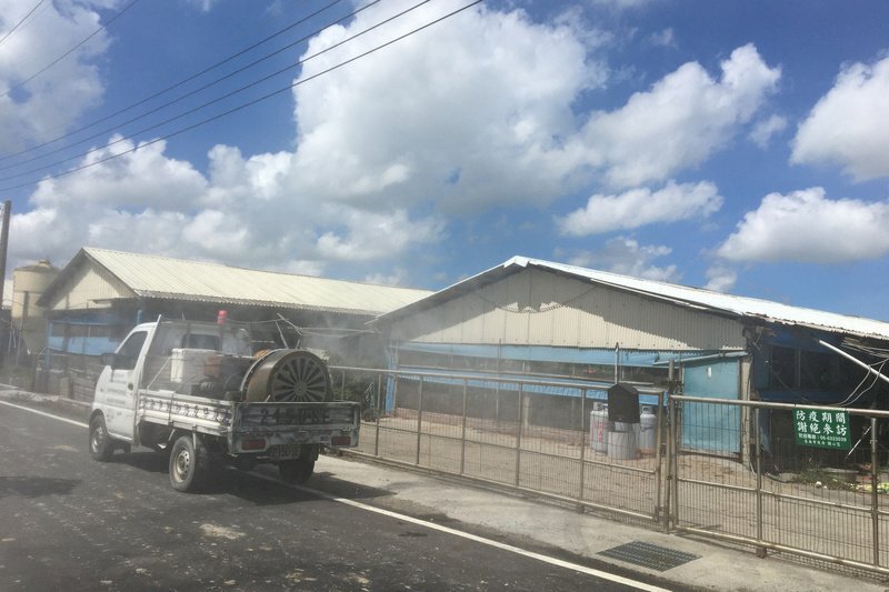 Se detecta primer caso de gripe aviar H5N1 en aves migratorias que llegaron a Tainan