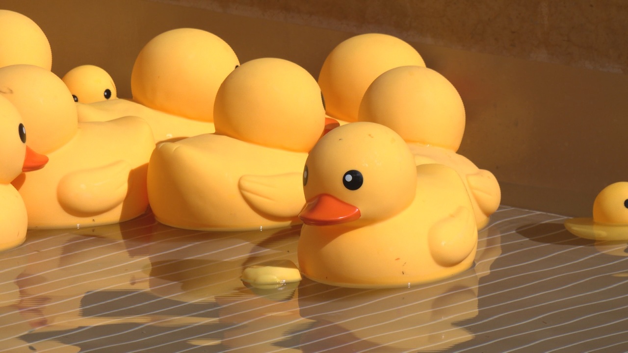 Los patos amarillos conquistan Kaohsiung