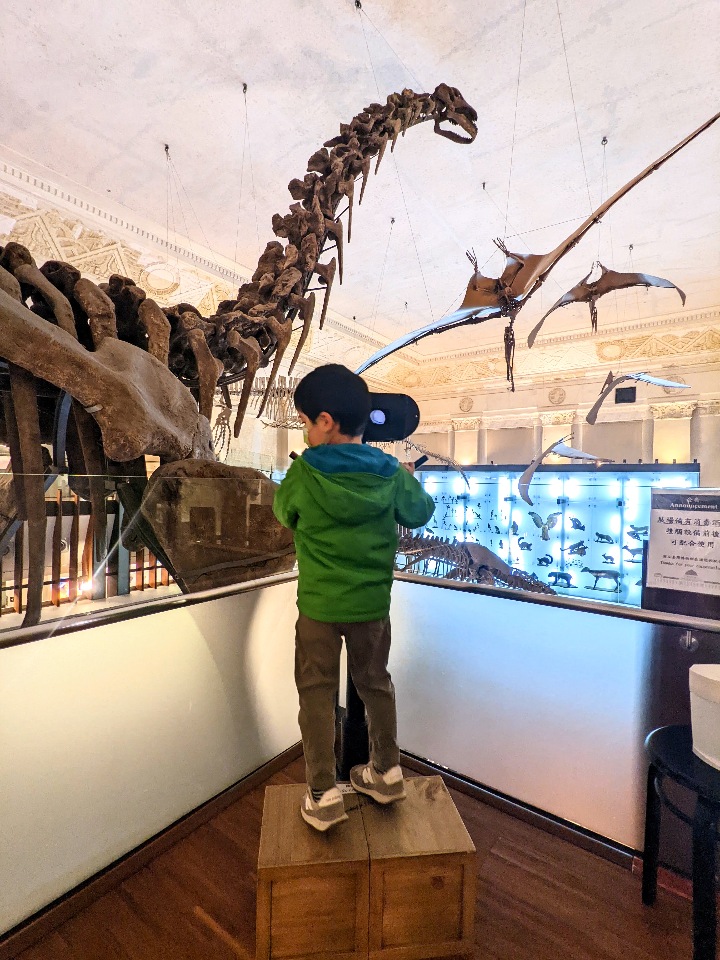 123. Sala de Exposiciones del Banco de Tierras del Museo Nacional