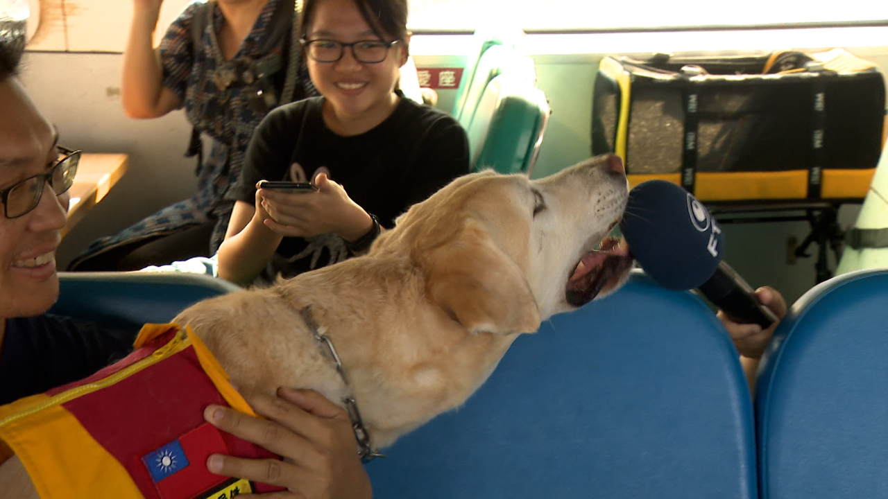 Kaohsiung organiza eventos que muestran apoyo y tolerancia de mascotas