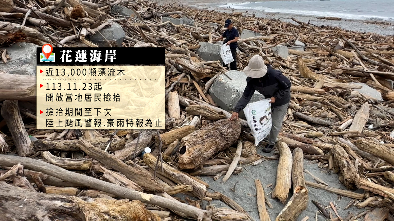 Tras el tifón, los troncos a la deriva en Hualien se convierten en una atracción turística