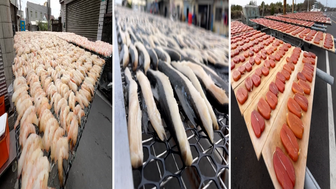 Pueblo pesquero de Tainan exhibe sus «Tres tesoros de mariscos»