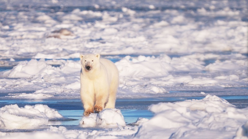 Lai Ching-te dice que el cambio climático es producto de la actividad humana y que todo el mundo debe contribuir a revertirlo